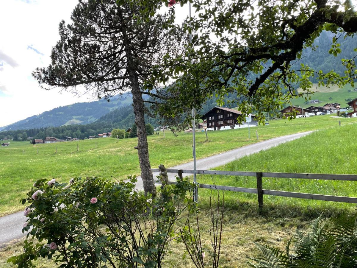 Edelweiss 4 Zi Ferienwohnung In Landhaus Frutigen Bagian luar foto