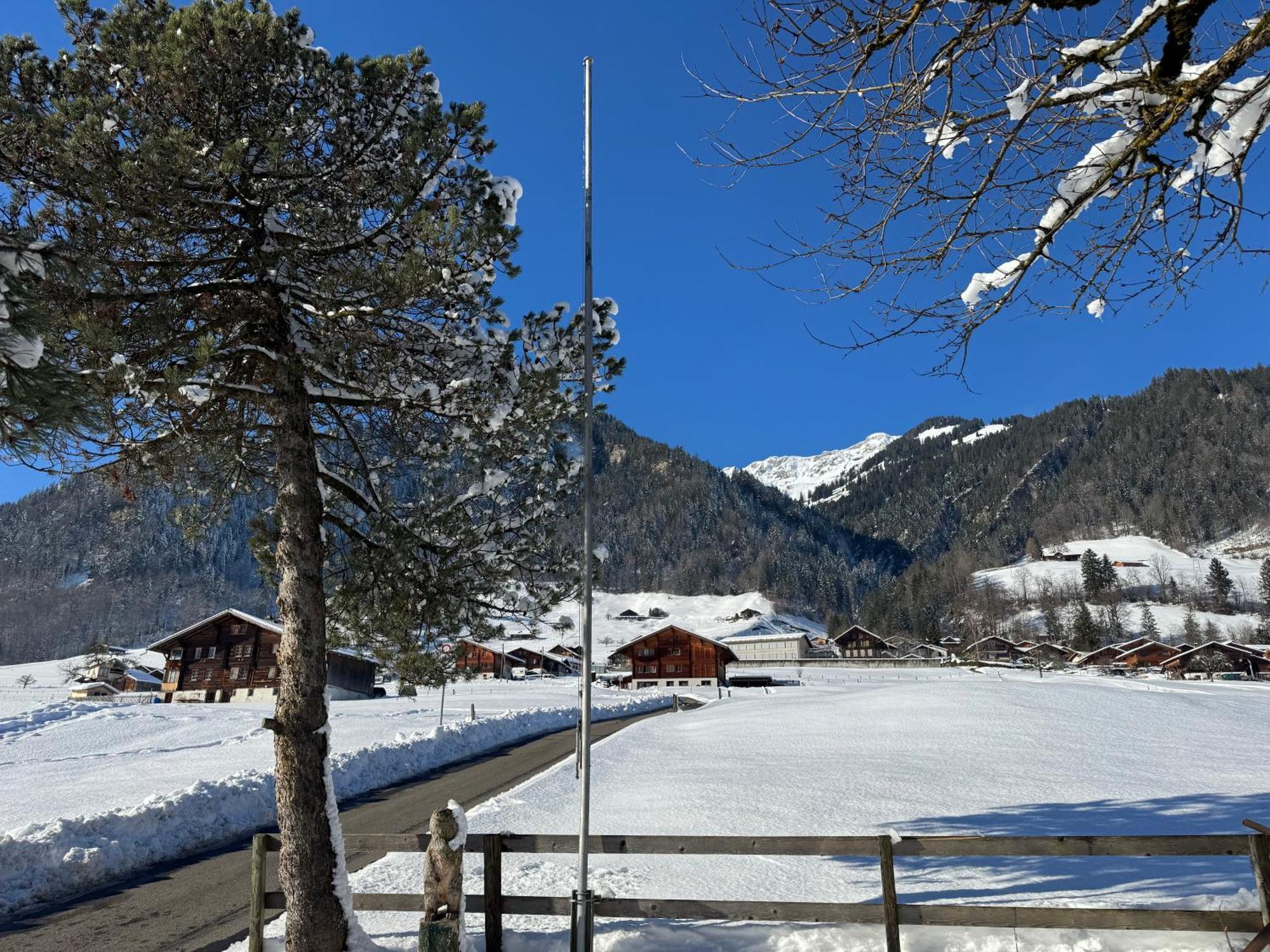 Edelweiss 4 Zi Ferienwohnung In Landhaus Frutigen Bagian luar foto